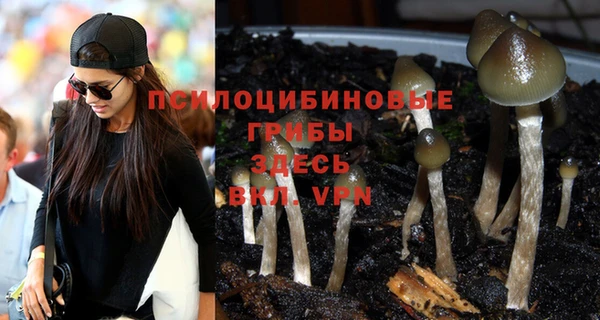 метадон Куйбышев